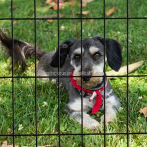 Iron Metal Type Farm Field Fence for Sheep and Goat Animals at 1.2 m x 100 m