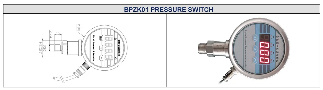 Baoji Electronic Pressure Sensor Switch For Liquid Test Pressure Switch