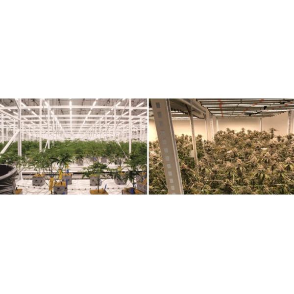 Two Tier 4x8ft Cannabis Vertical Grow Rack For Hydroponic Indoor Farming