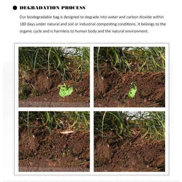 PLA PBAT Material Structure Potty Bag for Easy and Eco-friendly Pet Waste Disposal