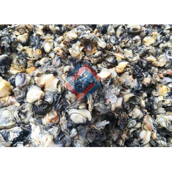 Commercial Fish Processing Machine 304 Stainless Steel Sea Food Cleaning Equipment