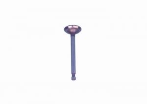 China Golf Cart Carryall Intake Valve G1017444 Fits For Club Car Gas 1996-Up DS Cars, FE350 on sale