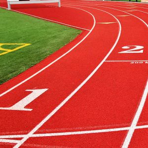 Abrasion Resistance Self Knot Pattern Jogging Track Material Fadeless