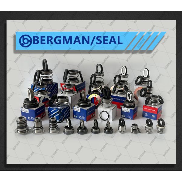 BERGMAN 560D-40mm Rotary Pump Mechanical Seal for WQ Submersible Pumps