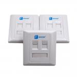 White Ethernet 2 Port Keystone Faceplate Cat6 Wall Plate With PC / ABS Housing