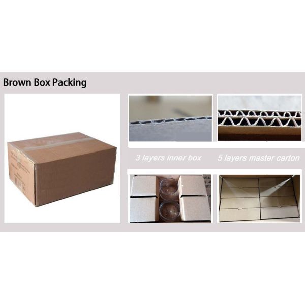 Self-Locking Plunger Fixed Position Dowel Locking Spring Screw Mini Stainless Steel Indexing Plungers