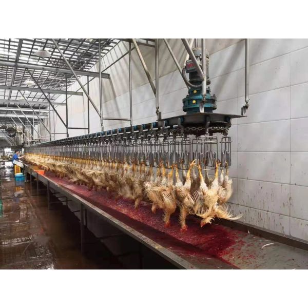 3000BPH Duck Slaughter Machine 380V / 220V Poultry Processing Equipment