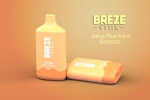 China Breze Stiik BS 6500 Puffs Disposable Vape Juicy Peach Flavors Available on sale