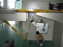 2.4kW Automatic Pouch Packing Machine