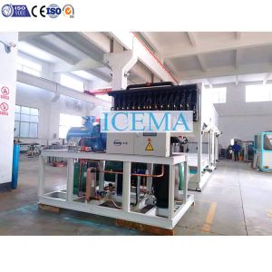 Automatic 25 Ton Industrial Ice Block Making Machine Direct Cooling