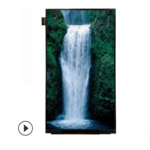 2160x3840 IPS LCD Display 4k Monochrome Lcd Screen High Transmittance