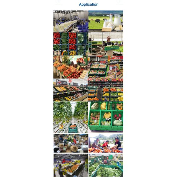 38L Food Grade Plastic Vegetable Stackable Collapsible Crates Customized