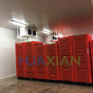 China China Copeland Refrigeration Condensing Unit Outdoor Mushroom Cold Storage Room on sale