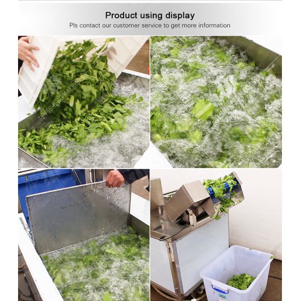 2.6KW Impurity Filter Fruit And Vegetable Washing Machine Citrus Apple