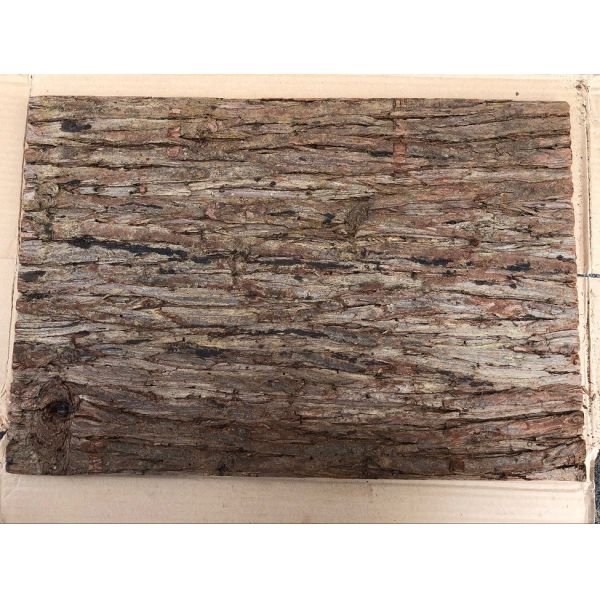 400*600mm Standard Size Frist-Layer Fir Bark tiles with Cork Back for Wall Decoration