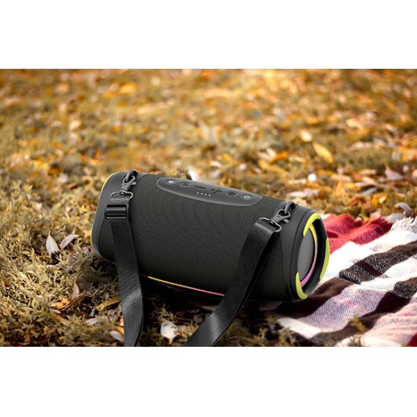 Lithium Ion Battery Powered Outdoor Party Speaker with 10 Meters Wireless Range