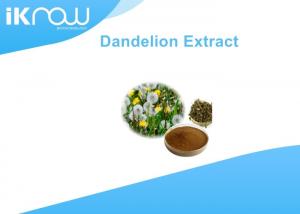 China Solvent Extraction Dandelion Root Extract / Taraxacum Extract Flavonoids on sale