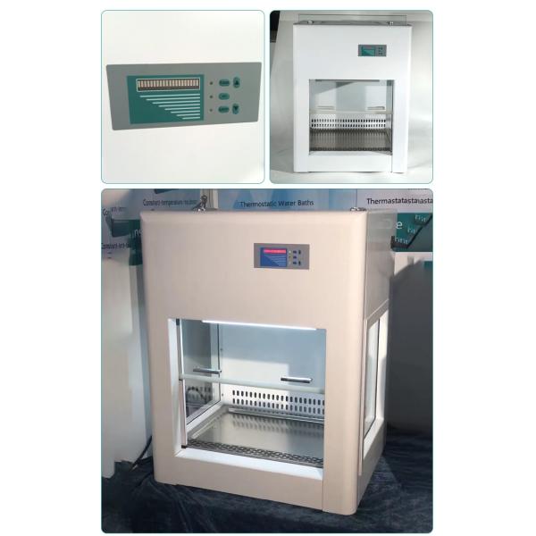 Vertical Airflow Mini Laminar Flow Cabinet for 10kg Work Surface Bearing and HEPA Filter