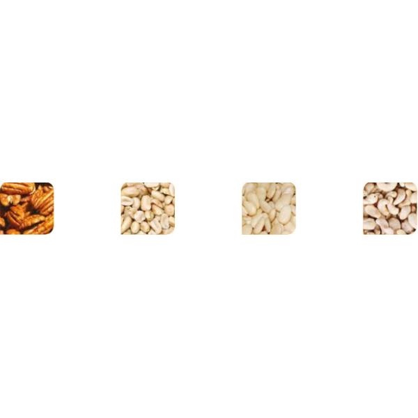 Hygienic Design Peanut Sorting Machine CCD Optical Color Sorter
