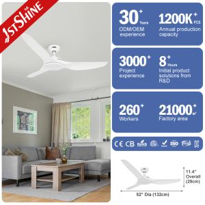 ROHS 52 Inch White Low Noise Large Airflow Ceiling Fan Led Six Speeds Remote