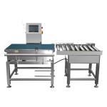 Dynamic Weighing Machine for Check Weigher with Customized Belt Speed