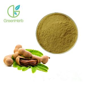 Quality Tamarind Extract Powder / Tamarind Extract / Tamarind Seed Powder for sale