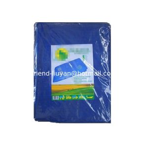 Polyethylene PE Tarpaulin