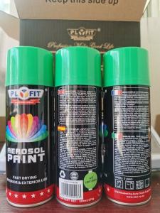 Quality EN71 15 Min Drying Fast 450ML Acrylic Aerosol Spray Paint For Household for sale