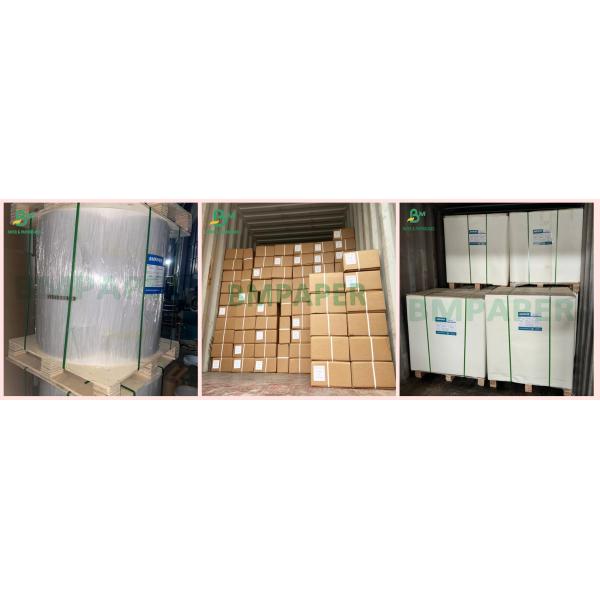 Color Transfer Paper 42gsm to 285gsm Tracing Illustration Translucent Sketching Paper