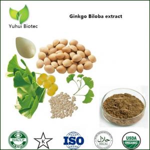Quality ginkgo biloba leaf extract,ginkgo flavone glycosides,ginkgo extract,ginkgo flavone for sale