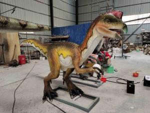 Quality Adult Theme Park Realistic Dinosaur Robot Animatronic Velociraptor for sale
