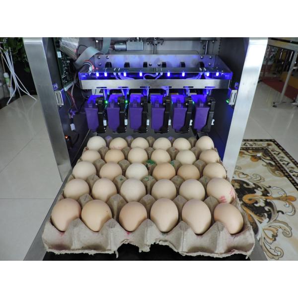 Small Size Egg Marking Equipment Customize Printer With Clean Maintenance Equipment