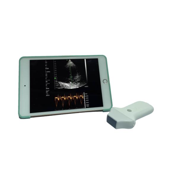Portable Hand Held Used Cheap Phased Array Ultrasound Machine Probe