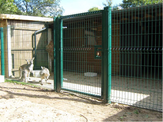 3M Fencing