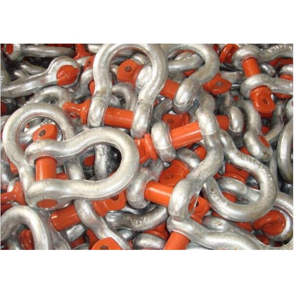 bolt type for Shackles