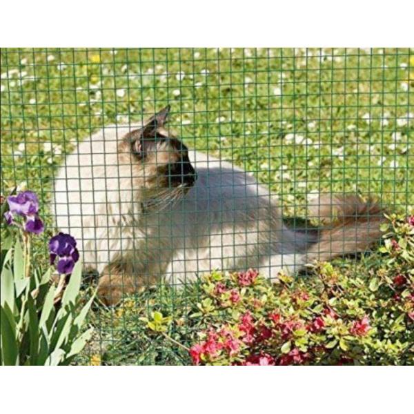 4ft X 50ft PVC Coated Welded Mesh Rolls For Garden Guard Barrier