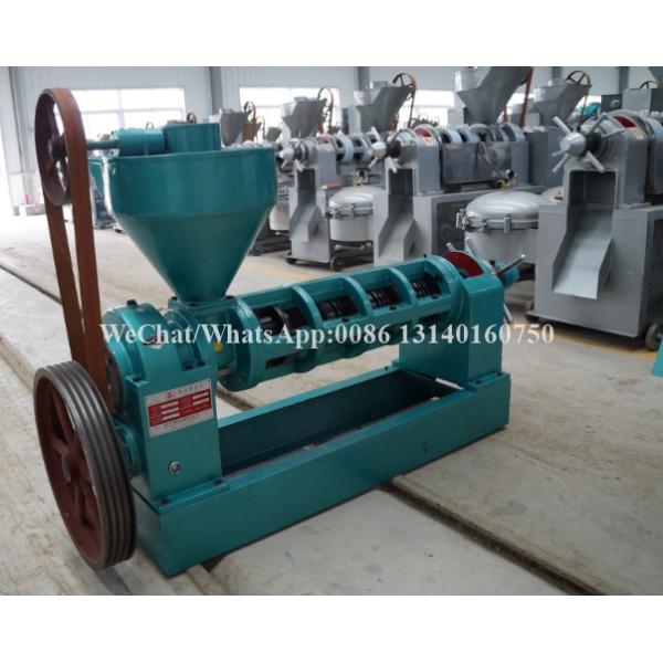 80-125kg/H Nuts Processing Machine Shea Automatic Oil Extraction Machine