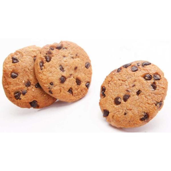 400 Automatic Small Cookie Machine / 16 Trays Rotary Moulder Cookie Machine