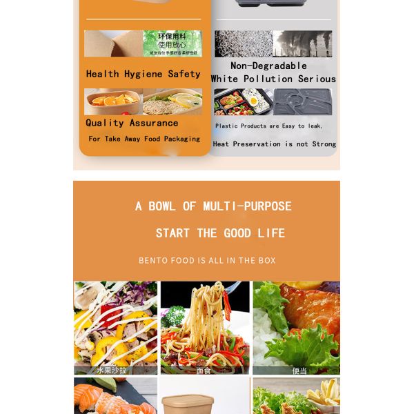 Custom Disposable Biodegradable Paper Bowl Heatable Kraft Waterproof Packaging Food Container Lunch Box