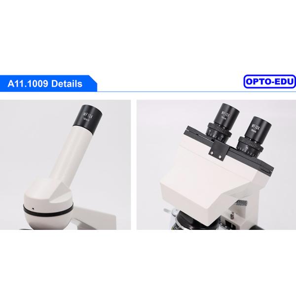 A11.1009 1000X LED Light Source Biological Microscope For Student / School