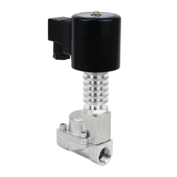 300 Degree High Temperature 24V Stainless Steel Steam Solenoid Valve With PEEK Seals