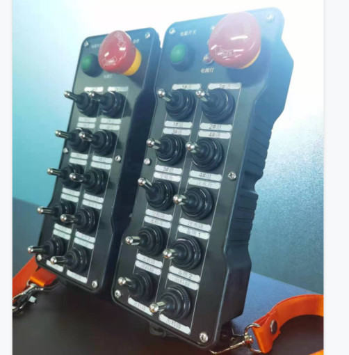 10 Paddles And 20 On-Off Handheld Remote Controls