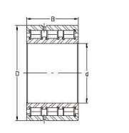 Double Row Chrome Steel Full Complement Roller Bearing