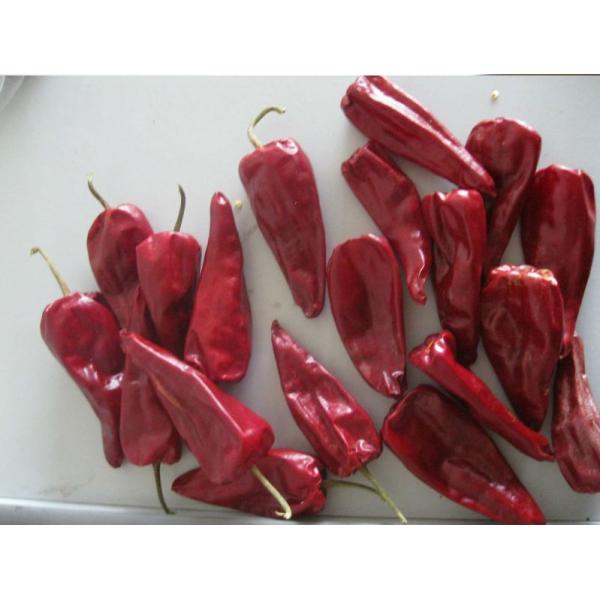 Factory price New Crop Fresh Red hot bullet Chilli
