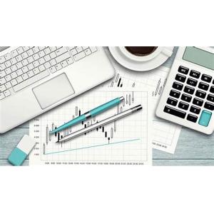 Quality Complex Business Accounting Services Decrease Expenses Precise Calculating for sale