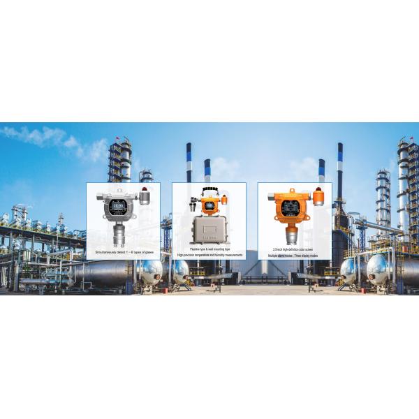 Fixed H2S Gas Detector