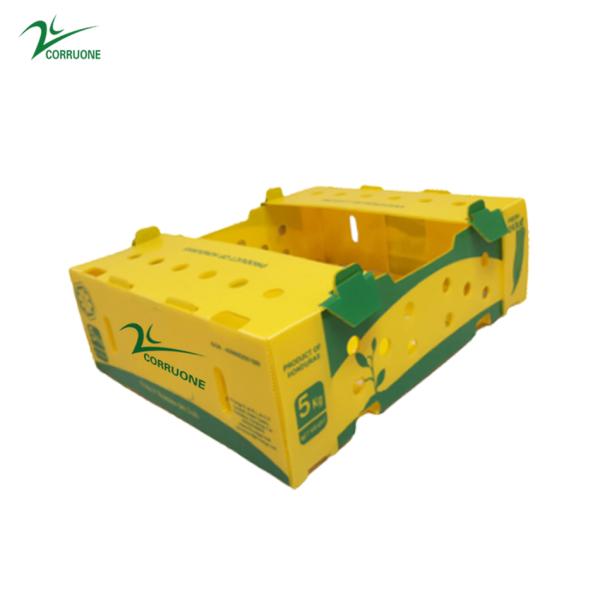 Embossing PP Vegetable Corrugated Boxes Rice Meat Corflute Box