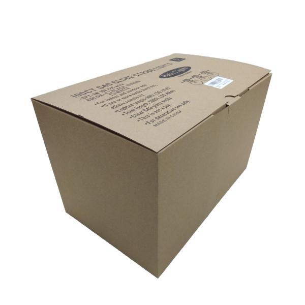 Wedding Garden G40 E12 Decorative String Lighting 100ft Globe String Light