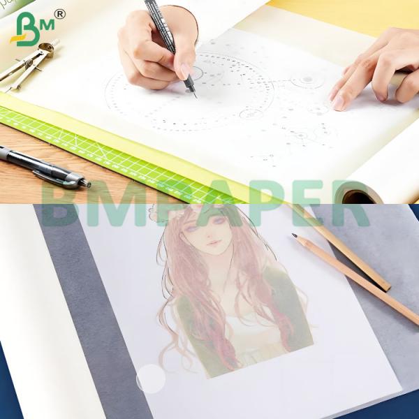 53-285gsm High Stiffness Semi-transparent Tracing Paper Rolls
