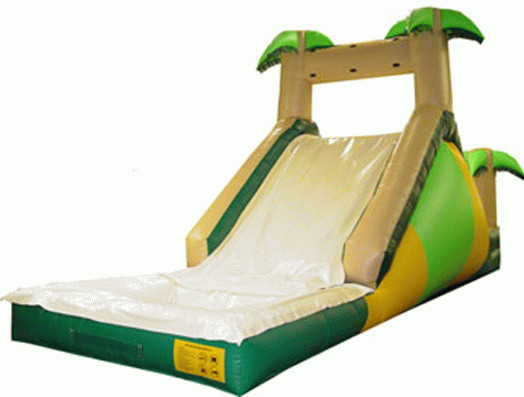 Quality Inflatble Slide / inflatable pool slide / inflatable palm slide for sale